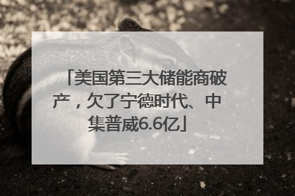 美国第三大储能商破产，欠了宁德时代、中集普威6.6亿