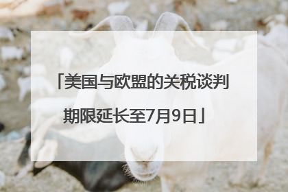 美国与欧盟的关税谈判期限延长至7月9日