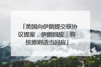 美国向伊朗提交核协议提案，伊朗回应：将按原则适当回应
