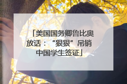 美国国务卿鲁比奥放话：“狠狠”吊销中国学生签证