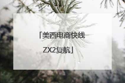 美西电商快线ZX2复航