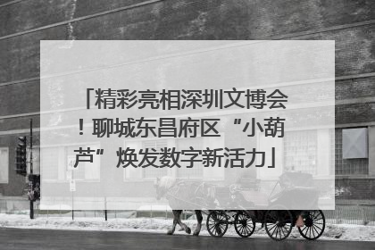 精彩亮相深圳文博会！聊城东昌府区“小葫芦”焕发数字新活力