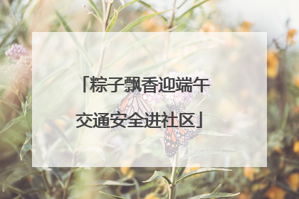 粽子飘香迎端午 交通安全进社区