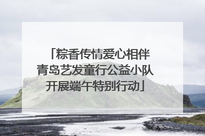粽香传情爱心相伴 青岛艺发童行公益小队开展端午特别行动