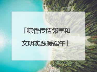 粽香传情邻里和 文明实践暖端午