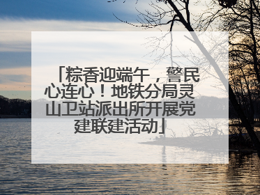 粽香迎端午，警民心连心！地铁分局灵山卫站派出所开展党建联建活动