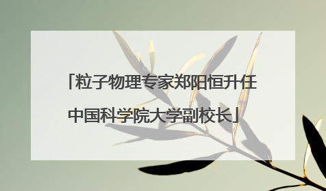 粒子物理专家郑阳恒升任中国科学院大学副校长