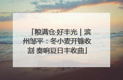 粮满仓·好丰光｜滨州邹平：冬小麦开镰收割 奏响夏日丰收曲