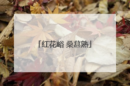红花峪 桑葚熟