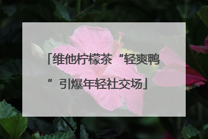 维他柠檬茶“轻爽鸭”引爆年轻社交场