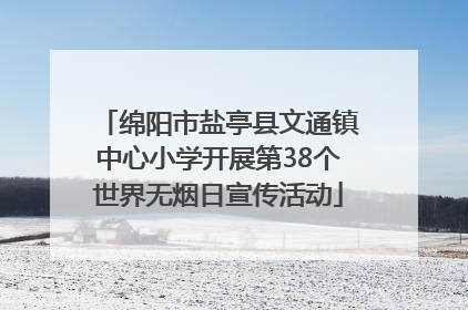 绵阳市盐亭县文通镇中心小学开展第38个世界无烟日宣传活动