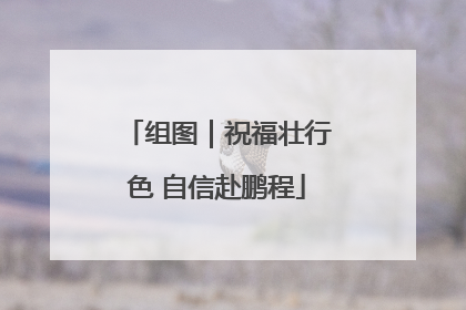 组图｜祝福壮行色 自信赴鹏程
