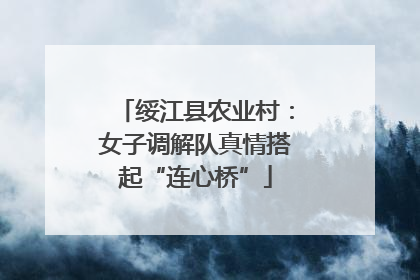 绥江县农业村：女子调解队真情搭起“连心桥”
