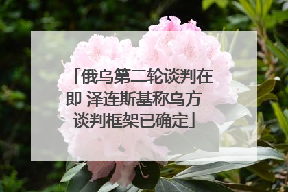俄乌第二轮谈判在即 泽连斯基称乌方谈判框架已确定