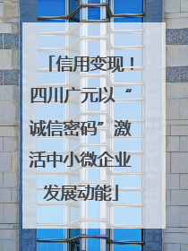 信用变现！四川广元以“诚信密码”激活中小微企业发展动能