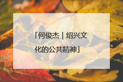 何俊杰｜绍兴文化的公共精神