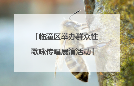 临潼区举办群众性歌咏传唱展演活动