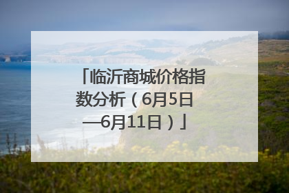临沂商城价格指数分析（6月5日—6月11日）