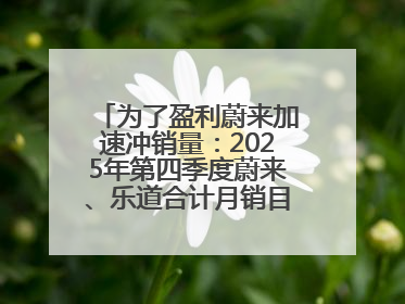 为了盈利蔚来加速冲销量：2025年第四季度蔚来、乐道合计月销目标达5万辆