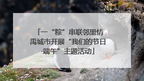 一“粽”串联邻里情 禹城市开展“我们的节日·端午”主题活动