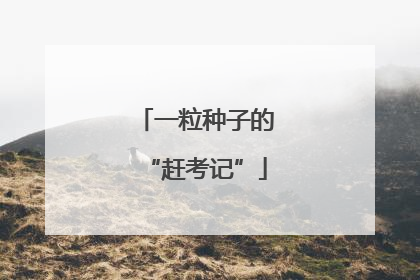 一粒种子的“赶考记”