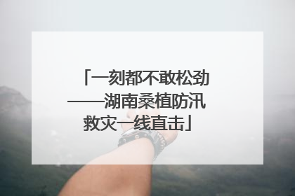 一刻都不敢松劲——湖南桑植防汛救灾一线直击