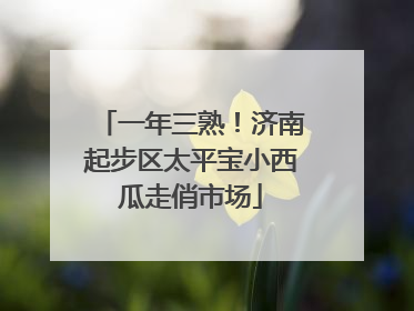 一年三熟！济南起步区太平宝小西瓜走俏市场