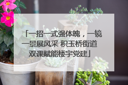一招一式强体魄，一镜一景展风采 积玉桥街道双课赋能楼宇党建
