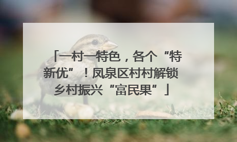 一村一特色，各个“特新优”！凤泉区村村解锁乡村振兴“富民果”