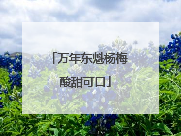 万年东魁杨梅 酸甜可口