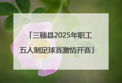 三穗县2025年职工五人制足球赛激情开赛