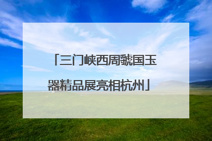 三门峡西周虢国玉器精品展亮相杭州