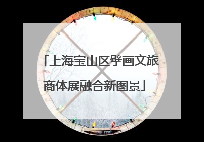 上海宝山区擘画文旅商体展融合新图景