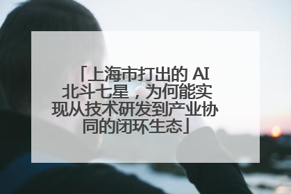 上海市打出的 AI 北斗七星，为何能实现从技术研发到产业协同的闭环生态