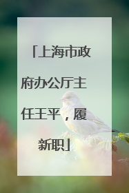 上海市政府办公厅主任王平，履新职