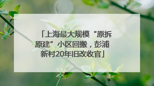 上海最大规模“原拆原建”小区回搬，彭浦新村20年旧改收官