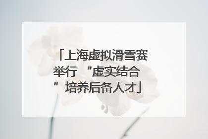 上海虚拟滑雪赛举行 “虚实结合”培养后备人才