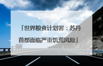 世界粮食计划署：苏丹首都面临严重饥荒风险