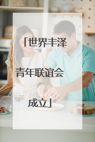 世界丰泽青年联谊会成立
