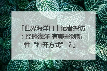 世界海洋日丨记者探访：经略海洋 有哪些创新性“打开方式”？