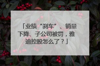 业绩“刹车”、销量下降、子公司被罚,雅迪控股怎么了?