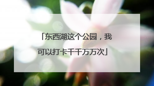 东西湖这个公园，我可以打卡千千万万次