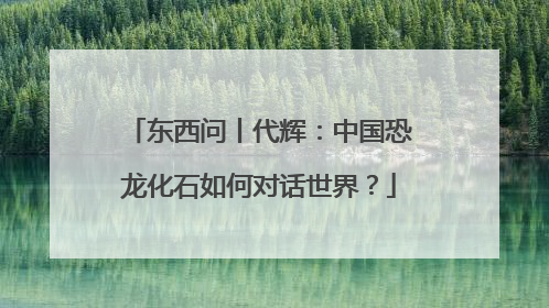 东西问丨代辉：中国恐龙化石如何对话世界？