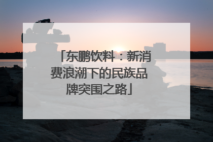 东鹏饮料：新消费浪潮下的民族品牌突围之路