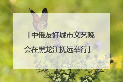 中俄友好城市文艺晚会在黑龙江抚远举行