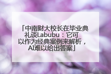 中南财大校长在毕业典礼谈Labubu：它可以作为经典案例来解析，AI难以给出答案