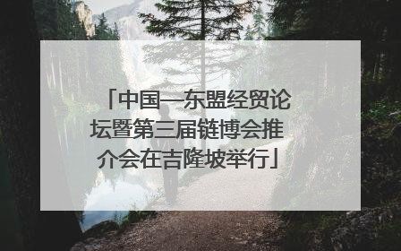 中国—东盟经贸论坛暨第三届链博会推介会在吉隆坡举行