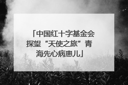 中国红十字基金会探望“天使之旅”青海先心病患儿