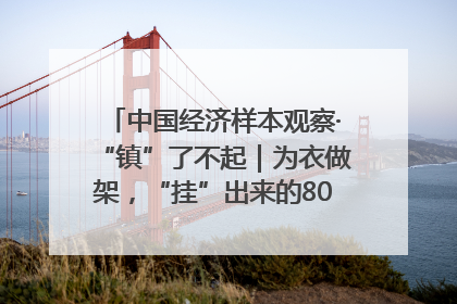 中国经济样本观察·“镇”了不起｜为衣做架，“挂”出来的80亿元“衣架产业”