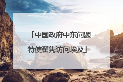 中国政府中东问题特使翟隽访问埃及